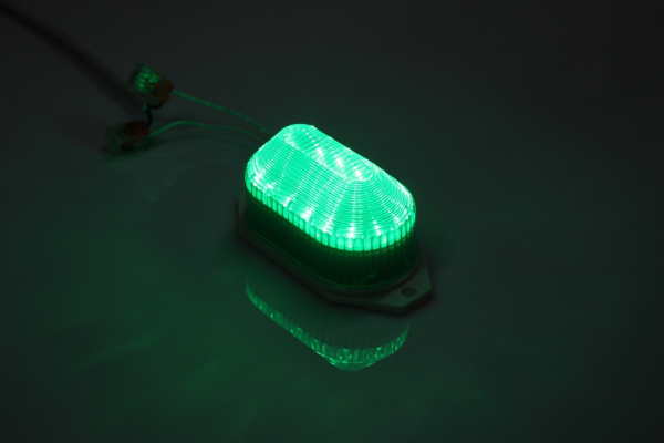 LED лампа-вспышка накладная, зеленая фото 1