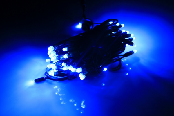 LED-PLR-100-10M-240V-B/BG синий/темно-зеленый фото 2