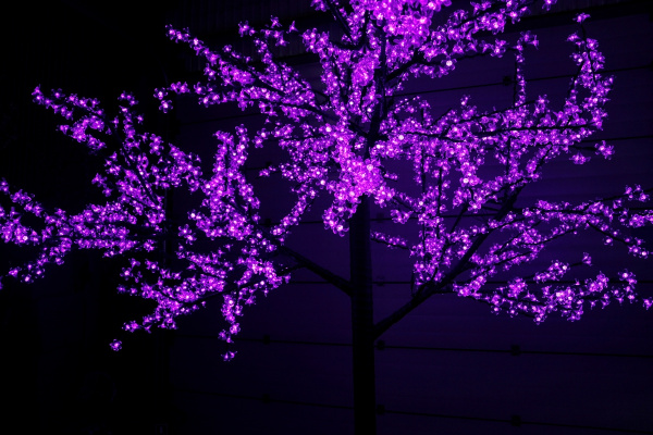 CBL-3.6-2688 Purple LED вишня H3,6m D3,0м фиолет (Новый коннектор, всторенный блок питания) 2025 фото 2