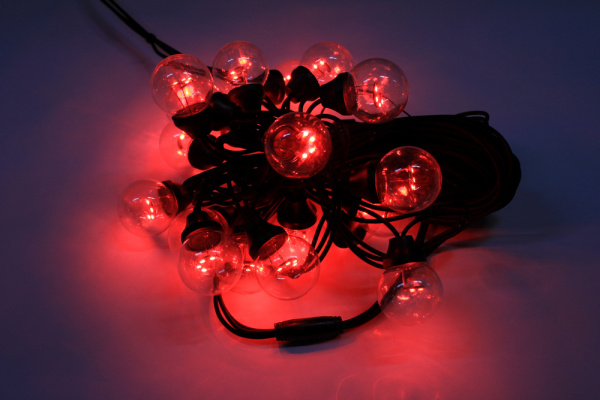 LED-2BLR-2835-50CM-10M-240V-R/BL, Белт-лайт с лампами красный/черный пр. фото 1