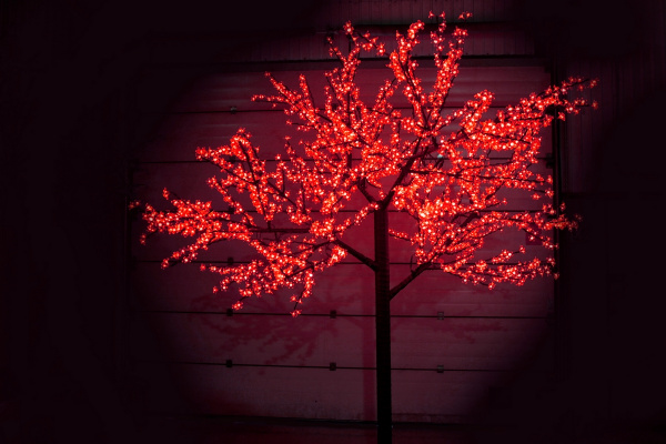 CBL-3.6-2688 Red LED вишня H:3,6m D3,0м красное фото 2