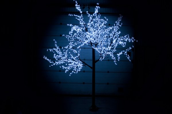 CBL-3.6-2688 White LED вишня H:3,6m D3,0м ,белое фото 1
