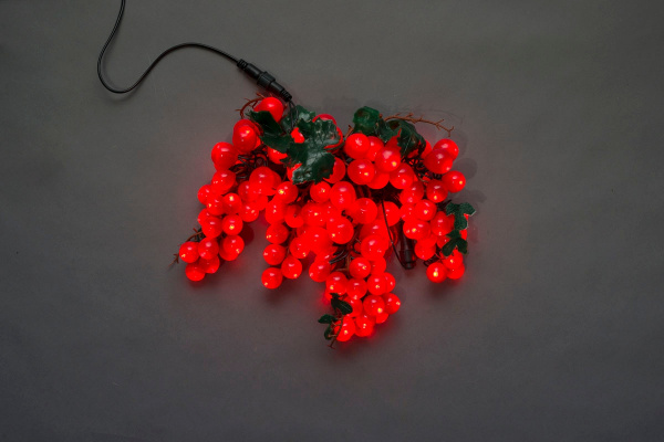 LED-PL-120 - 240V, 2,30М, красный виноград/темн-зел фото 1
